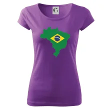 Brazílie vlajka v mapě