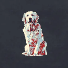 Zlatý retriever vintage