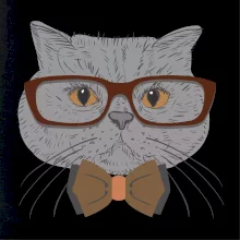 Hipster britská modrá