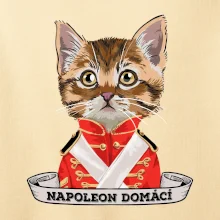Napoleon domácí kočka