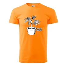 Konopi prostě pěstuju