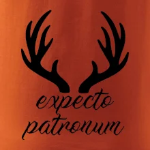 Harry - Expecto patronum