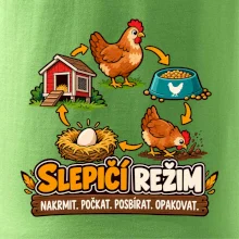 Slepičí režim od krmení po sběr vajec