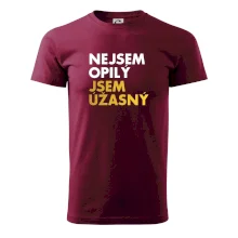 Nejsem opilý jsem úžasný