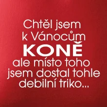 Chtěl jsem dostat k Vánocům koně