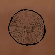 Letokruhy 35 bez věku