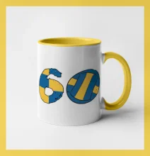 Volejbal kulaté narozeniny 60