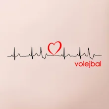 Moje srdce bije pro Volejbal