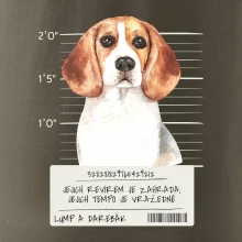 Lump a darebák bígl