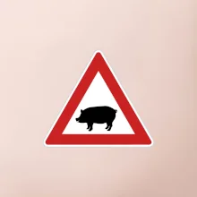 Dopravní značka - Pozor prase domácí