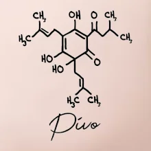 Barová chemie - pivo