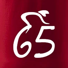 Cyklista slaví pětašedesátku (65)