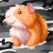 Morče - kreslené, bílo oranžové