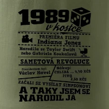 1989 v kostce