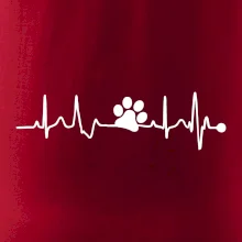 Ekg psí tlapka Ekg psí tlapka
