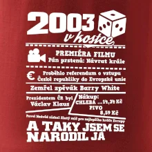 2003 v kostce