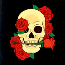 Lebka držící růži