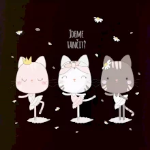 Kočka jdeme tancovat