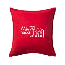 Mám velké kozy! No a co!