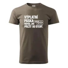 VÝPLATNÍ PÁSKA: Návod, jak přežít do úterý