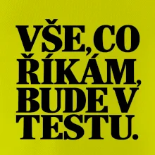 Vše co říkám bude v testu
