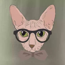 Hipster sphynx