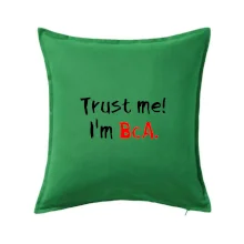 Trust me I´m  BcA. / Věř mi jsem BcA.