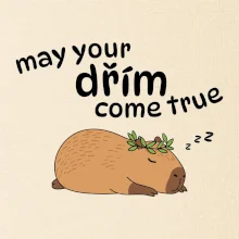 May your dřím come true