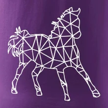 Geometrie - kůň jednobarevná