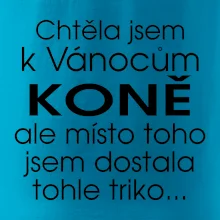 Chtěla jsem k Vánocům koně