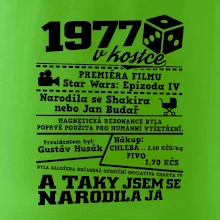 1977 v kostce