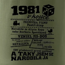 1981 v kostce