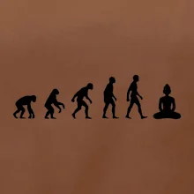 Evoluce budha