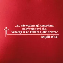Citáty z bible - Izajáš 40:31