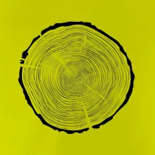 Letokruhy 85 bez věku