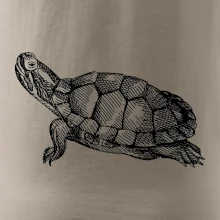 Tužkou kreslená želva