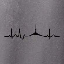 Ekg Jeseníky Ekg Jeseníky