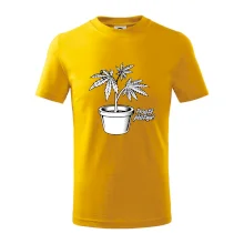 Konopi prostě pěstuju