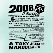 2008 v kostce