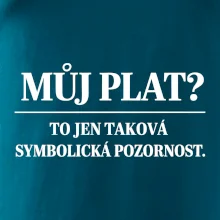 Můj plat? to jen taková symbolická pozornost