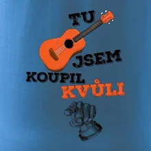 Tu kytaru jsem koupil kvůli tobě