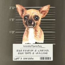 Lump a darebák čivava