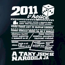 2011 v kostce