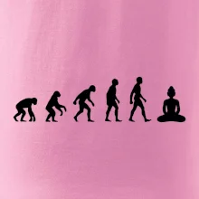 Evoluce budha