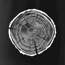 Letokruhy 95 bez věku