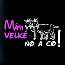 Mám velké kozy! No a co!