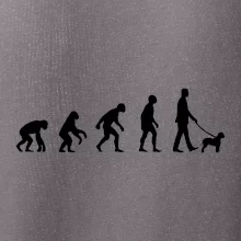 Lagotto romagnolo Evoluce