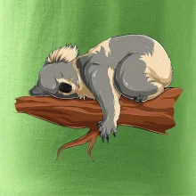 Koala na větvi