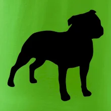 Americký stafordširský teriér  Na prsu