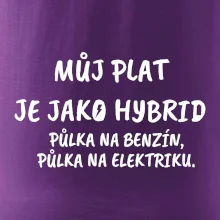 Můj plat jako hybrid